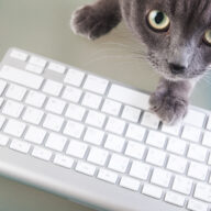 にゃんでもポチっ店貨サイトOPENしました！